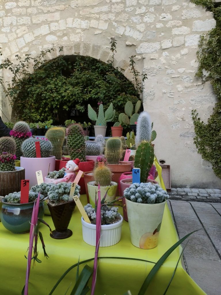 fete des fleurs de castillonnes